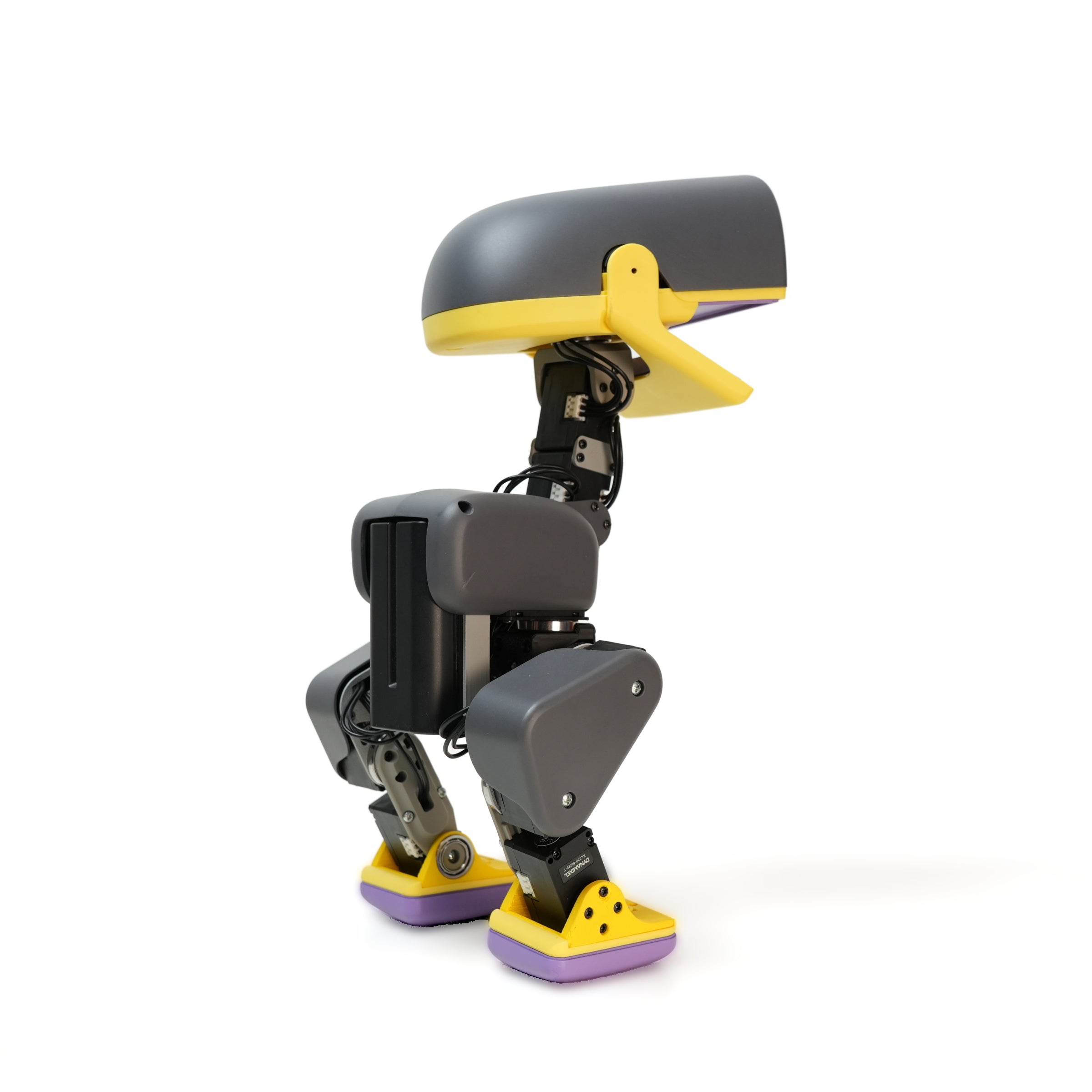 Microduck