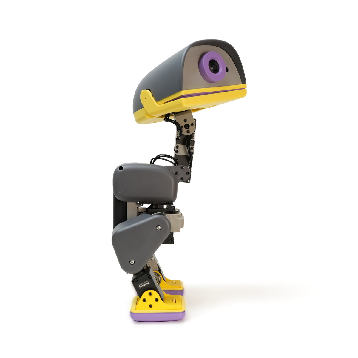 Microduck