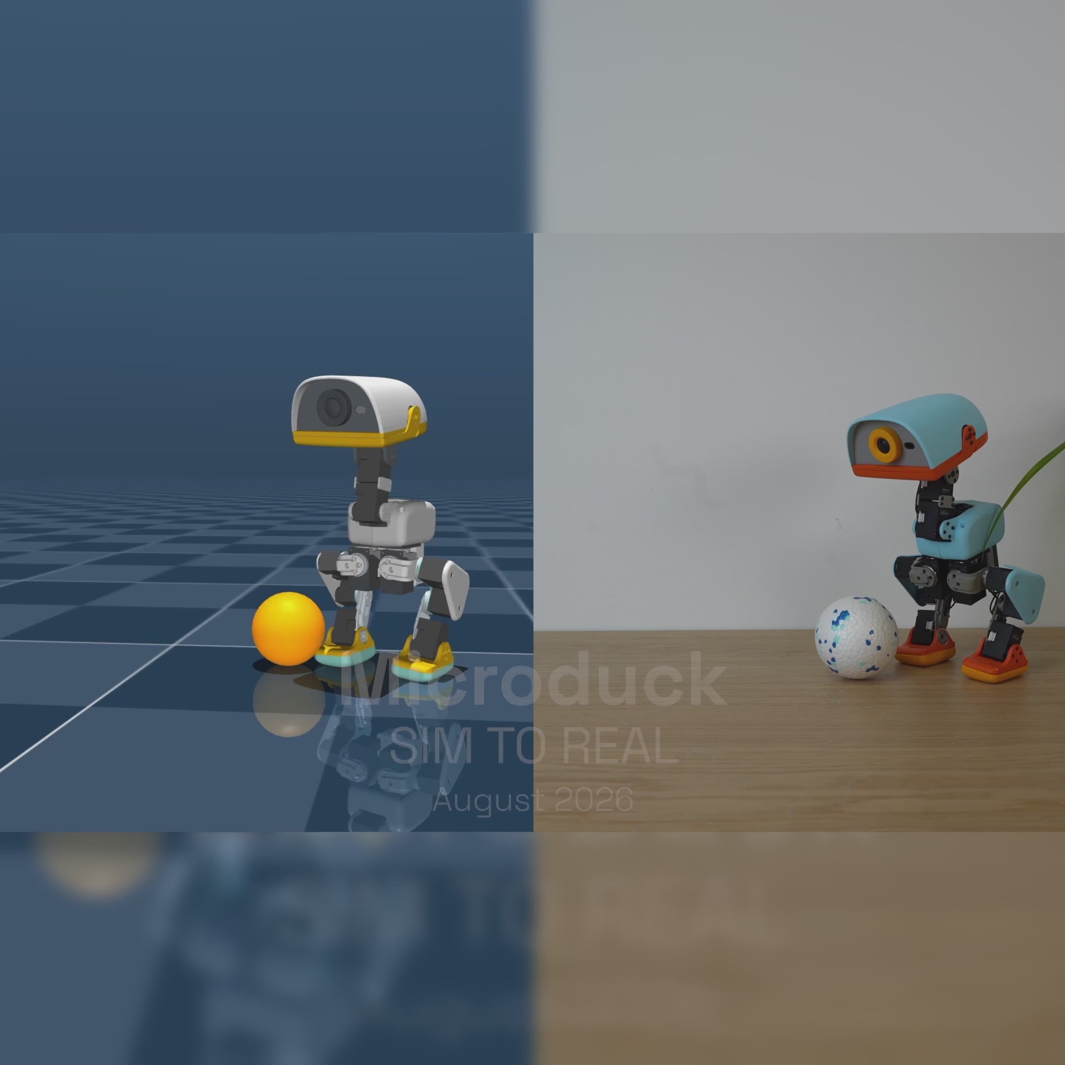 Microduck
