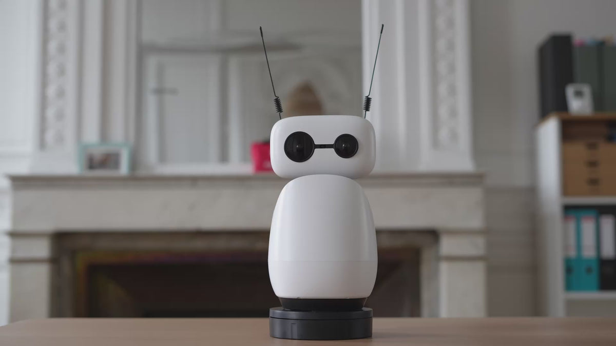 Reachy Mini Wireless